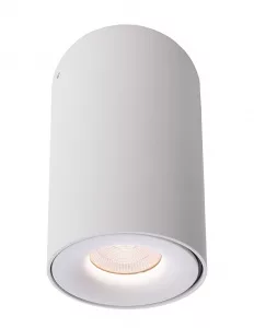 Накладной светильник Deko-Light Bengala LED 348029