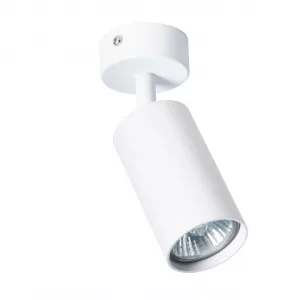 Arte Lamp AQUARIUS Белый A3216PL-1WH