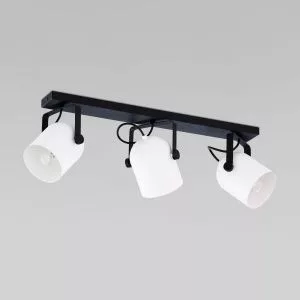 Потолочный светильник TK Lighting Spectra Black White 3490