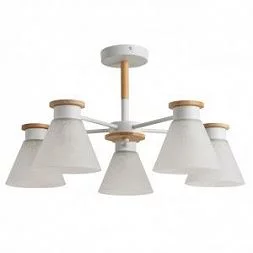 Потолочная люстра Arte Lamp TYLER Белый A1031PL-5WH