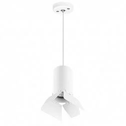 Комплект со светильником Rullo Rullo Lightstar RP436436