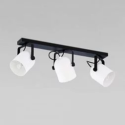 Потолочный светильник TK Lighting Spectra Black White 3490