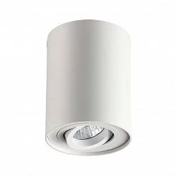 Потолочный накладной светильник Odeon Light 3564/1C