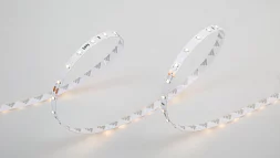 Светодиодная лента LUX, 3528, 60 LED/м, 4,8 Вт/м, 24В, IP33, Теплый белый (2700K), DSG360-24-WW-33  SWG